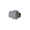 Terminal PPR 25mm x 3/4 HE