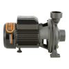 Bomba centrifuga gran caudal 2"  2HP BHFM5AM  Bercatti
