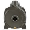 Bomba centrifuga 1 HP CPM158B Bercatti
