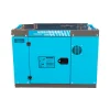 Generador EGD15000E 10 KVA Diesel Monofásico Hylux