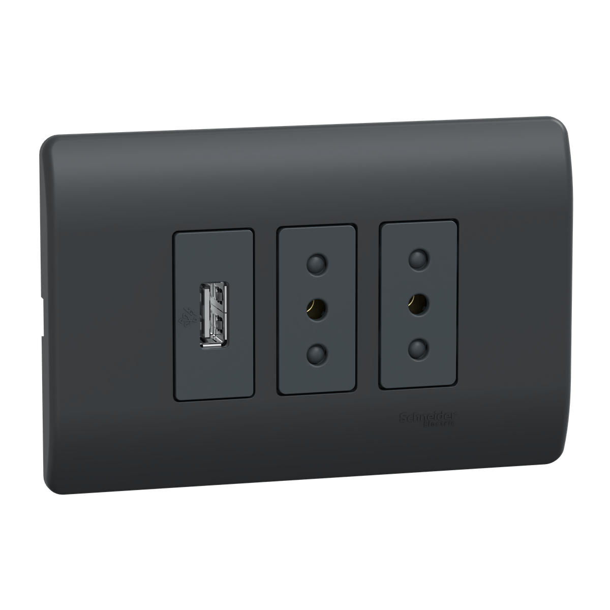 Enchufe doble 10A + USB Genesis negro Schneider