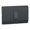 Interruptor simple 10A 9/24  Genesis negro Schneider