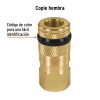 Acople rápido compresor bronce HI 1/4″ NPT (19084) Truper