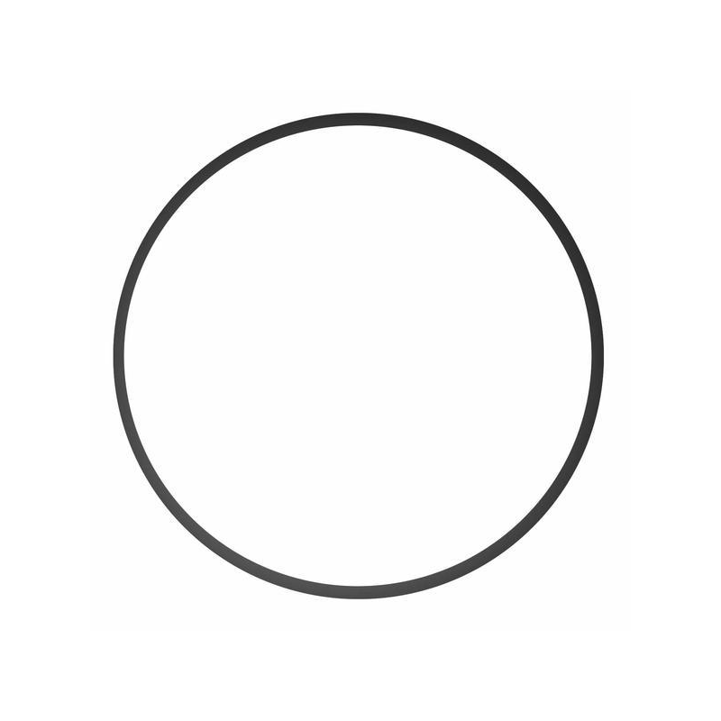 O-ring para tapa de clorador (80688) Vulcano