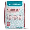 Cal hidratada Pintacal, saco de 25 kg Soprocal